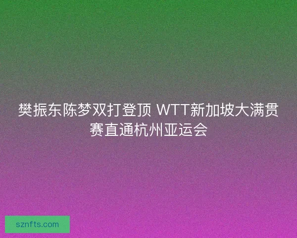 樊振东陈梦双打登顶 WTT新加坡大满贯赛直通杭州亚运会